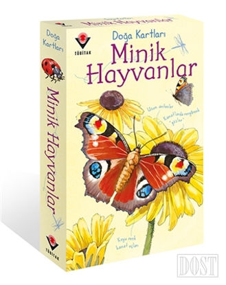 Doğa Kartları - Minik Hayvanlar